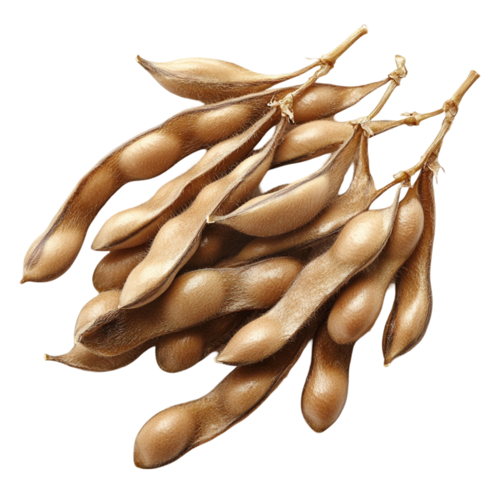 Soybeans are a type of legume that is used in many different foods png