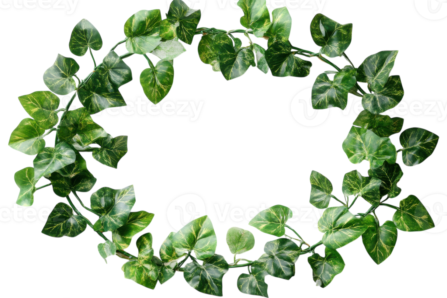 Decorative green ivy leaves arranged in a circular pattern on a white background for home decor png