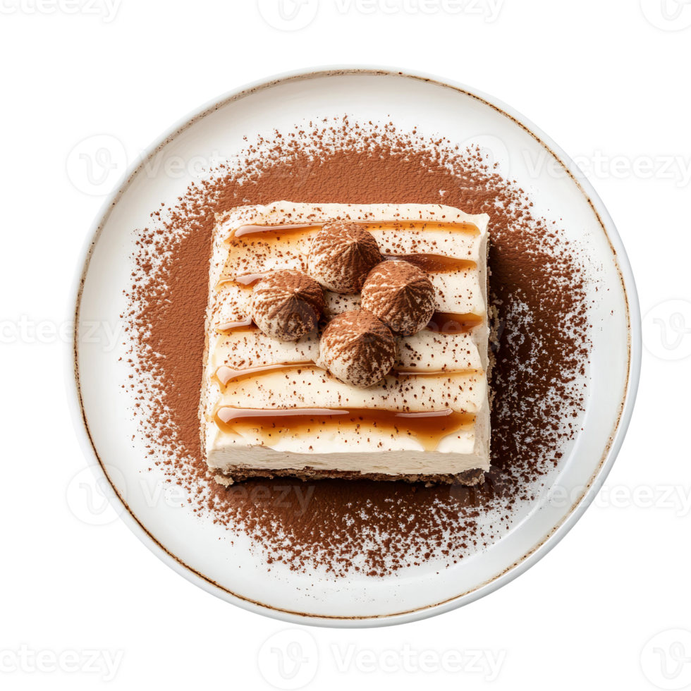A piece of cake on a plate with chocolate and sprinkles png