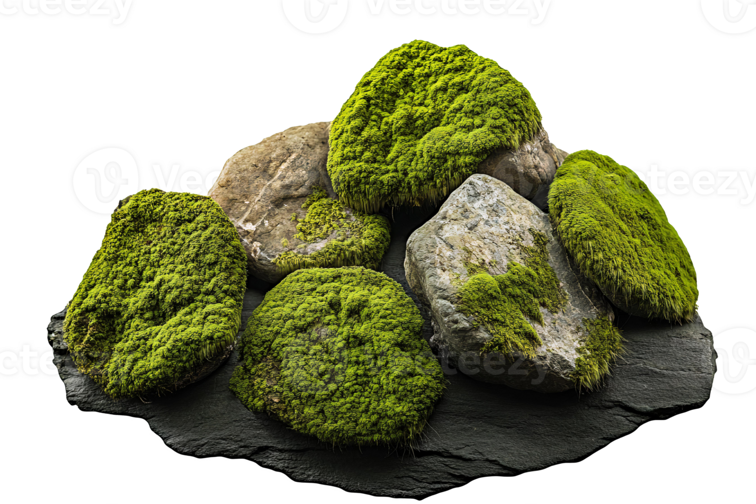 Moss on rocks png