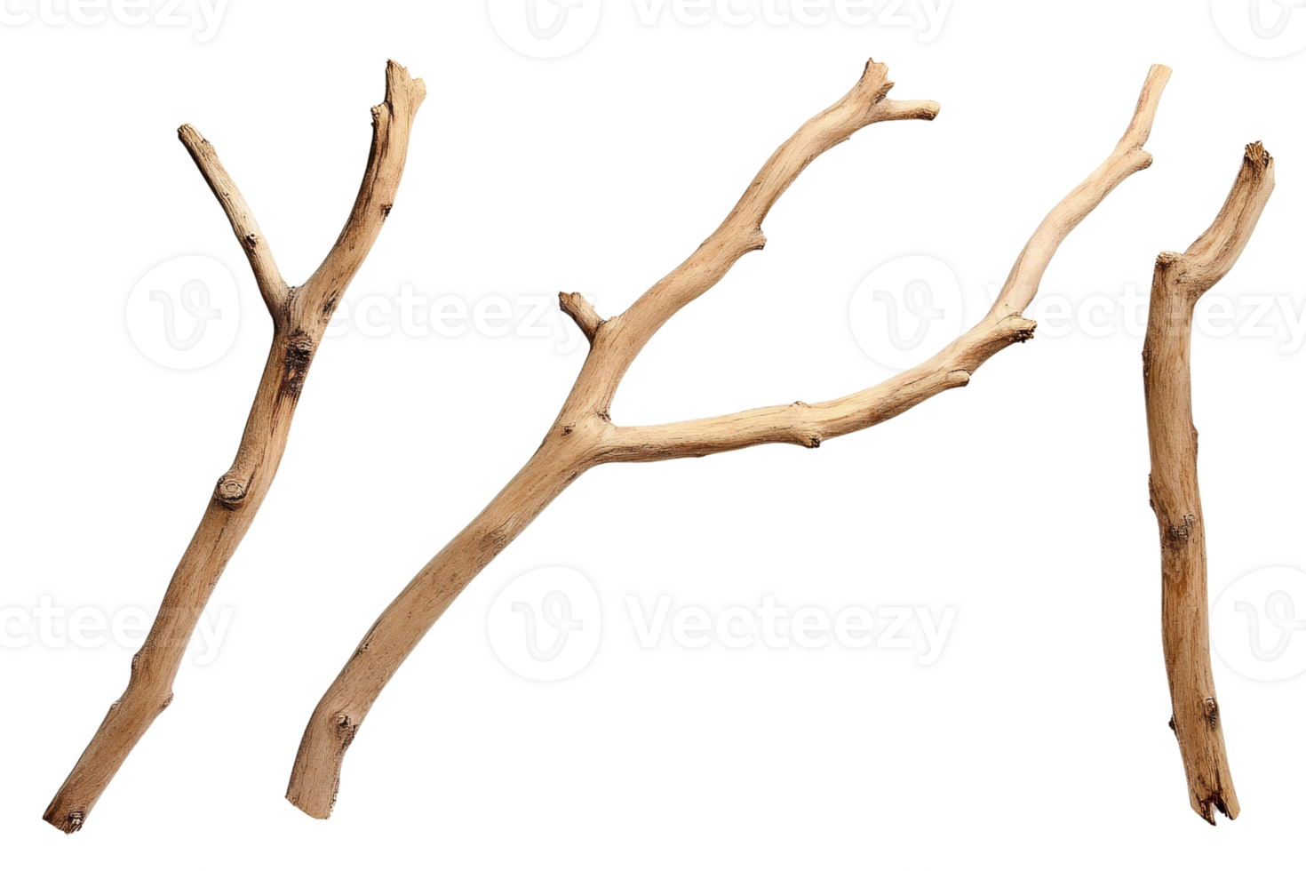 Three branches are shown on a black background png