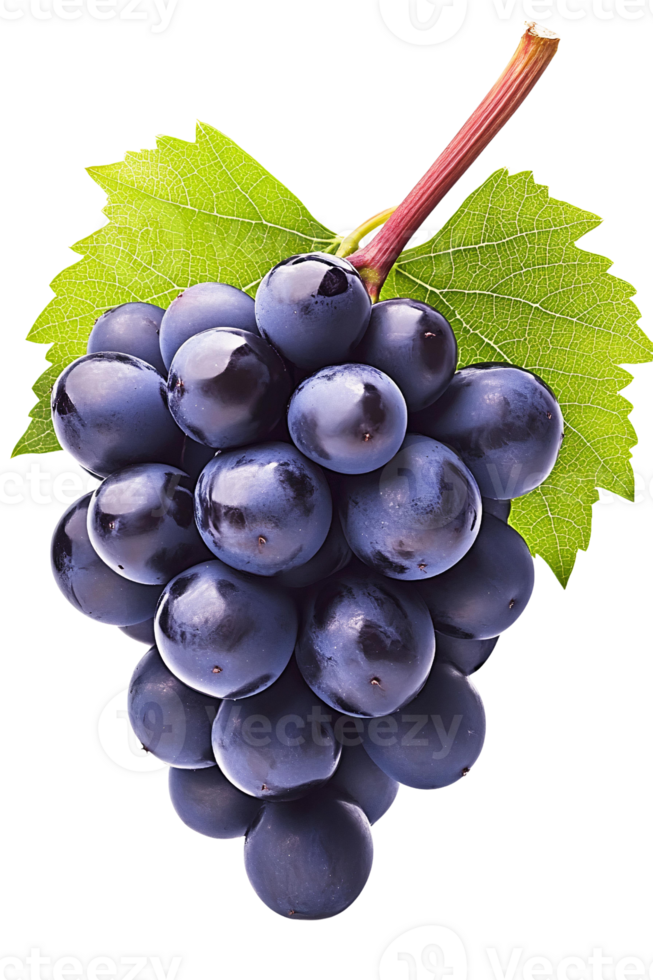 A bunch of grapes with leaves on it png