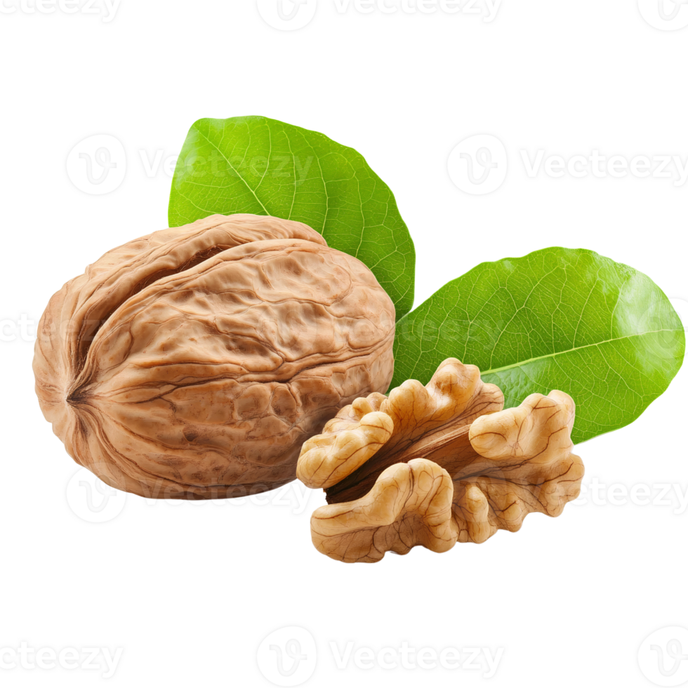 Walnuts with leaves and walnuts png