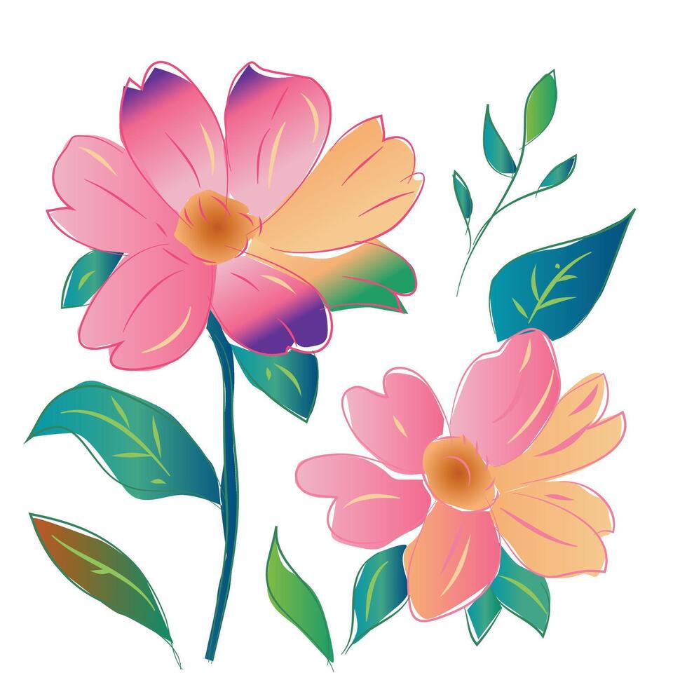 Flower Drawing and Illustration vector