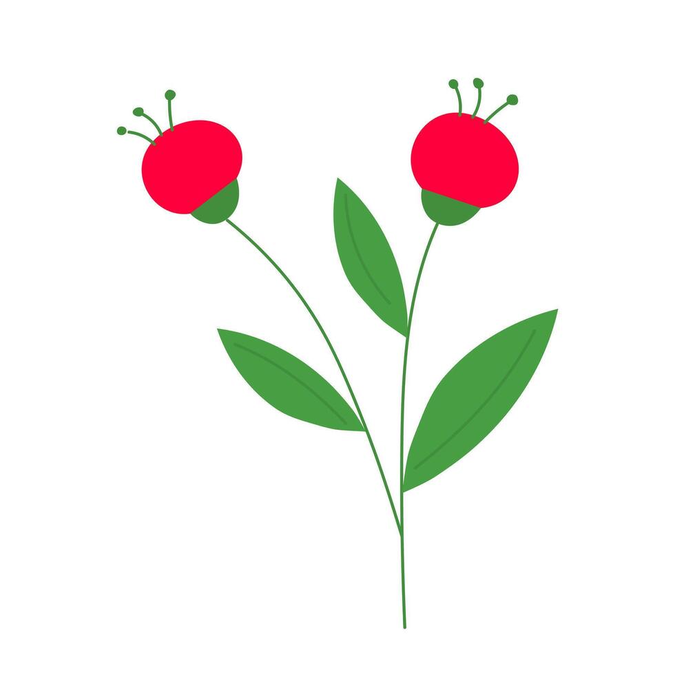 Twig with leaves and red berries. Christmas decoration isolated on white background. vector