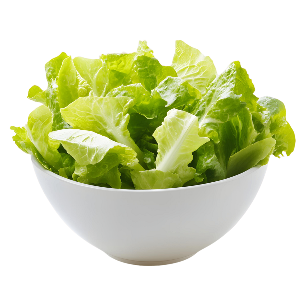 A bowl of green lettuce is sitting on a white background png