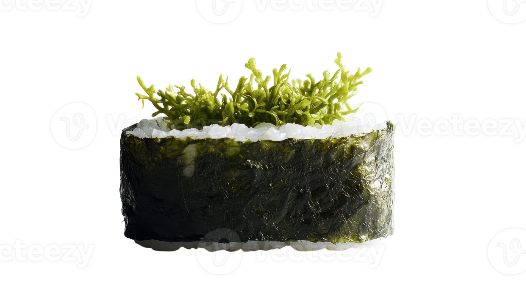 A Delicious Piece of Sushi with a Green Seaweed Wrap Perfect for Culinary Presentations and Asian Cuisine Menus. png