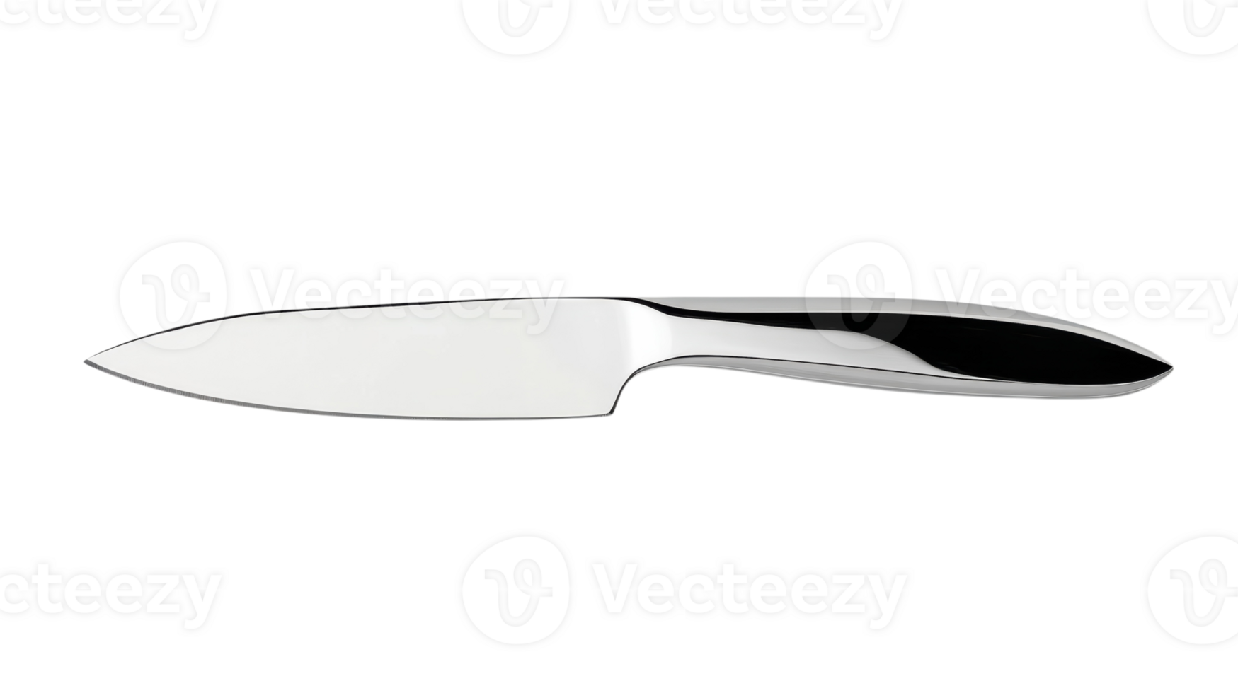 A Polished Stainless Steel Kitchen Knife Perfect for Culinary Professionals and Home Cooking Enthusiasts Alike Offering Precision and Performance. png