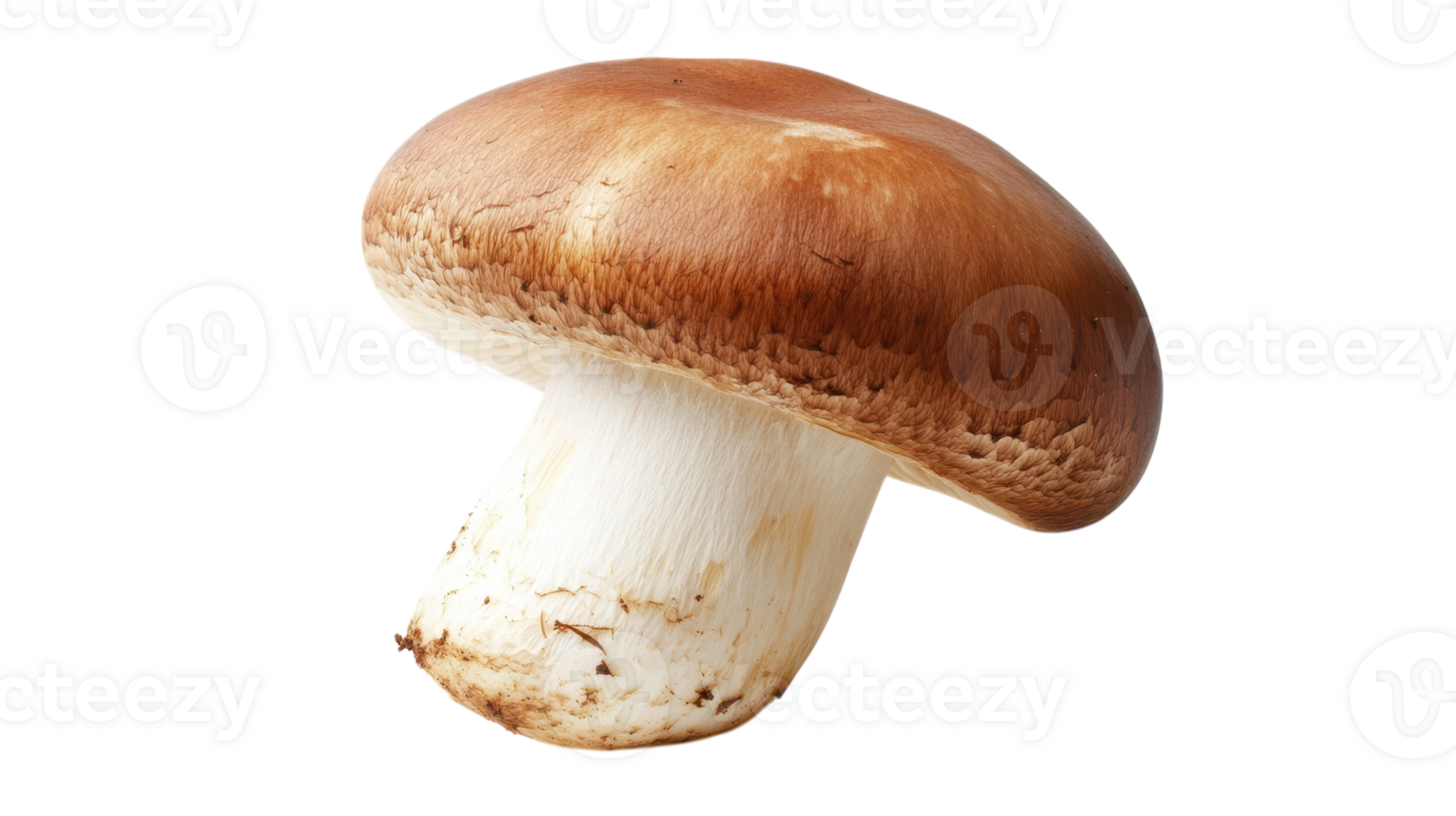 Single Button Mushroom on a White Background Perfect for Culinary and Nutrition Purposes, Ideal for Food Blogs and Recipe Websites. png