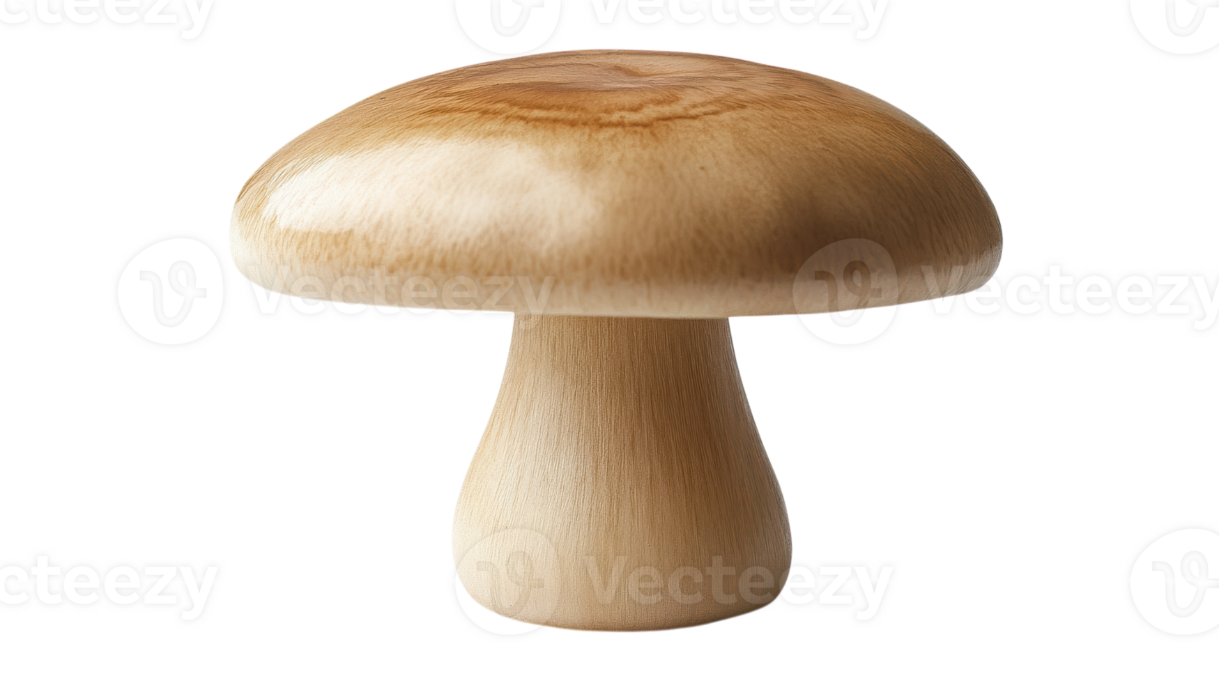 A Single Button Mushroom with Smooth White Surface Perfect for Culinary Uses and Food Photography. png