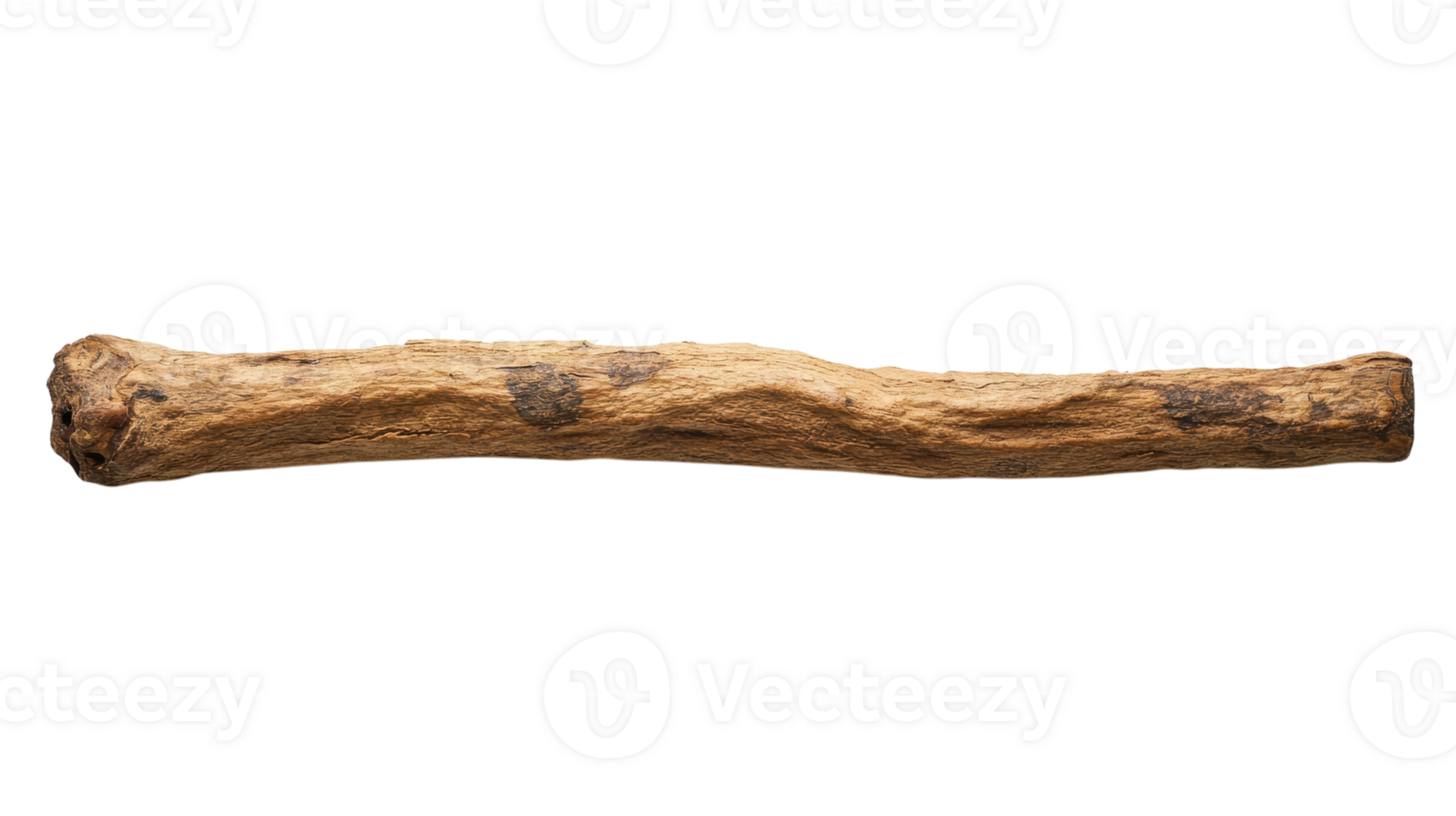 Single Cinnamon Stick Close-Up Showcasing Its Unique Bark and Texture for Culinary and Aromatic Uses in Recipes and Home Decor. png