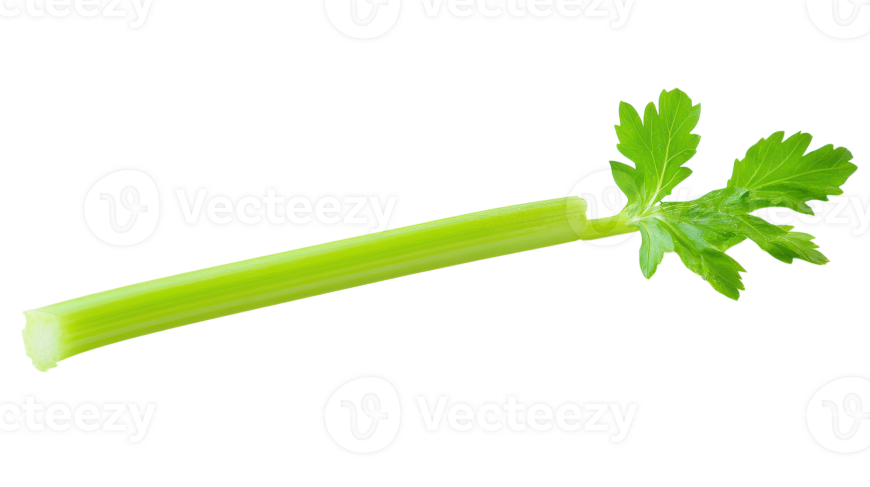 Fresh and Vibrant Green Celery Stick with Lush Leaves Perfect for Healthy Recipes and Culinary Delights. png