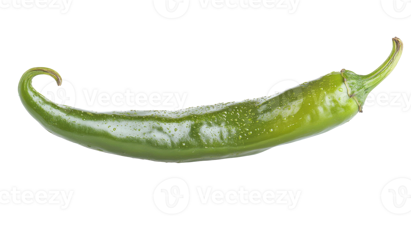 Glorious Image of a Single Green Chili Pepper Showcasing its Glossy Skin and Freshness, Ideal for Culinary and Food Photography. png