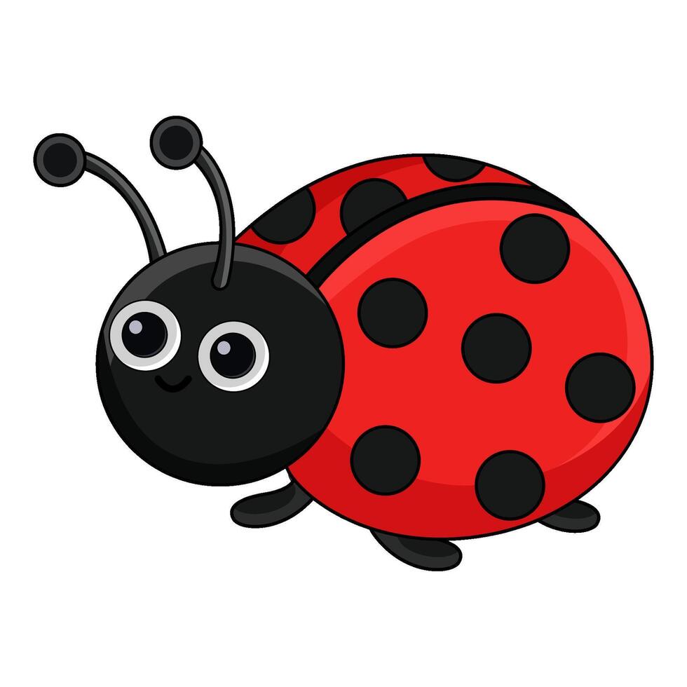 illustration of ladybug vector