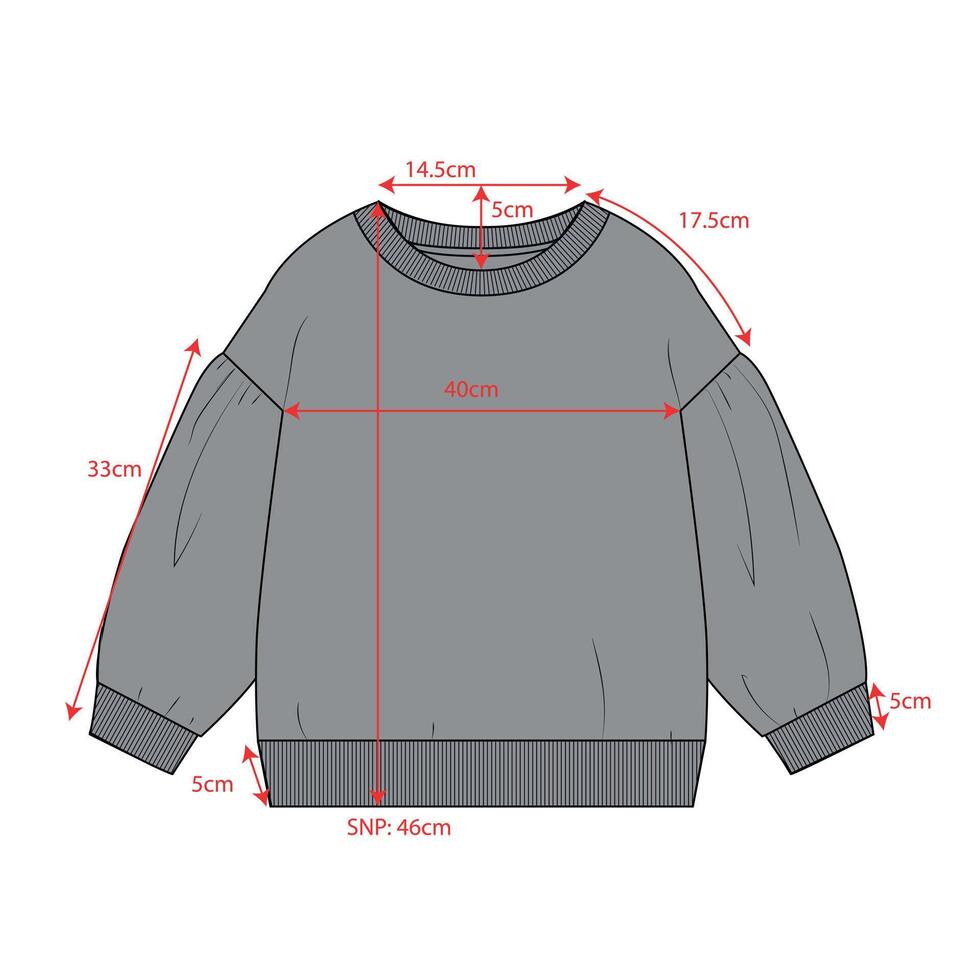 Ladies sweater with measurements details isolated on white background vector