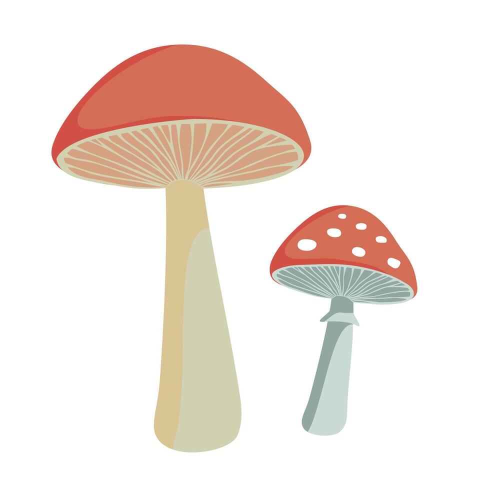 Cute Forest Mushroom and Fly Agaric vector