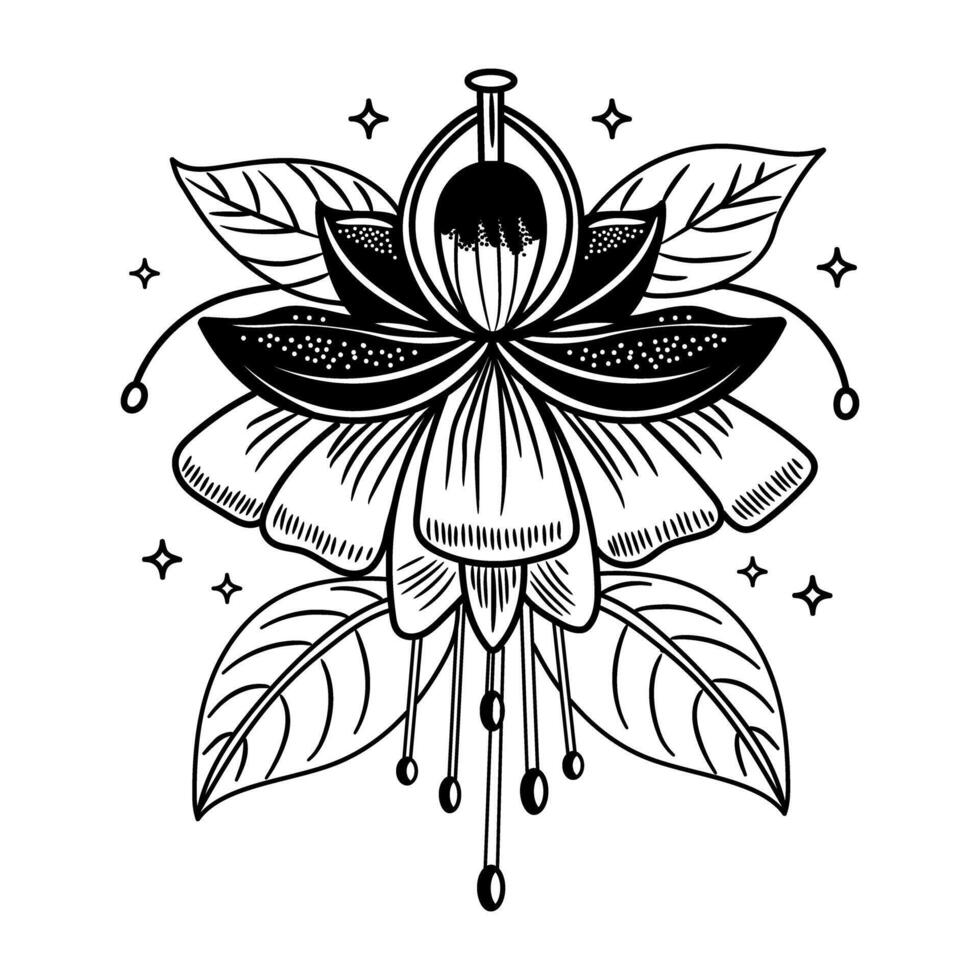 A sketchy style icon of fuchsia flower vector