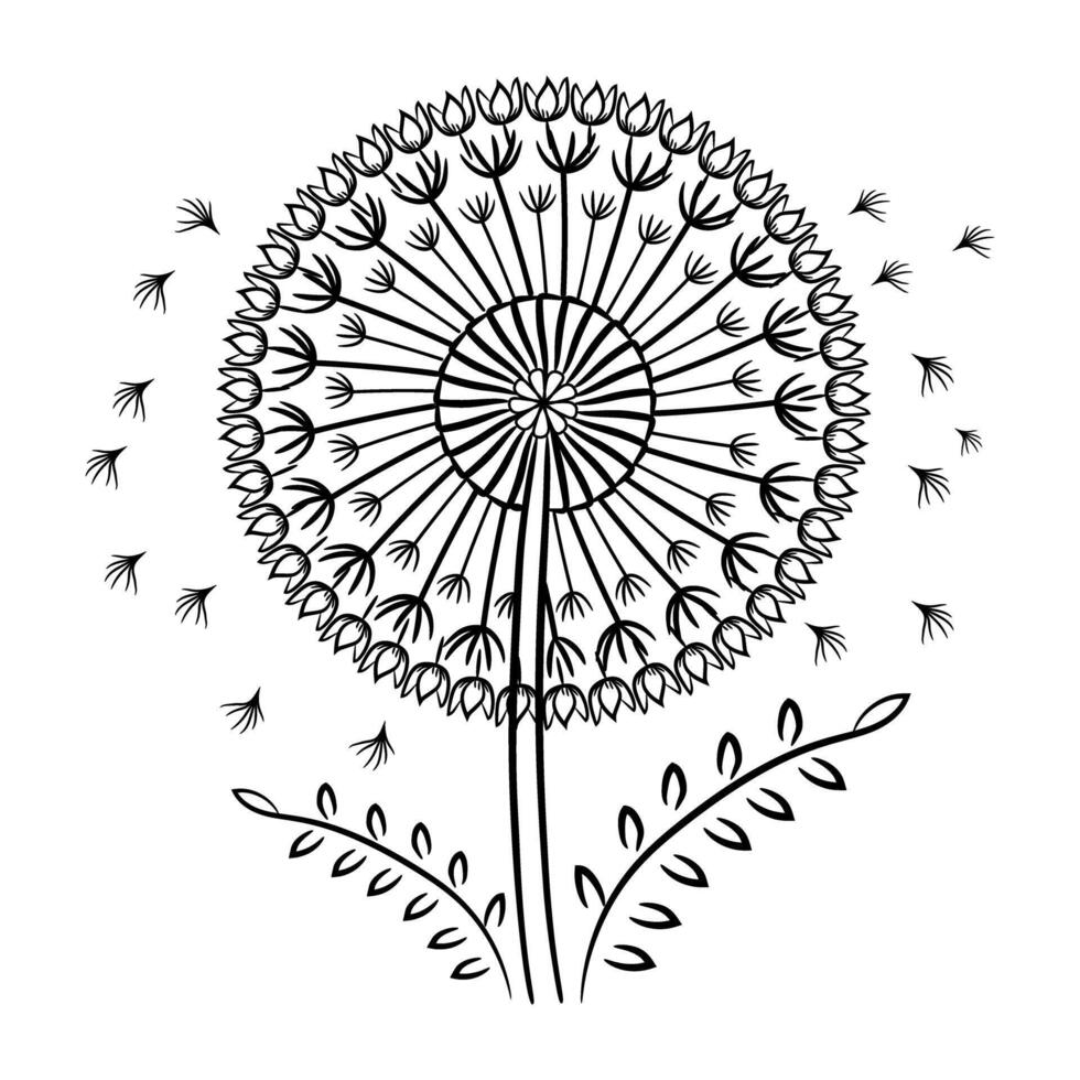 A black and white drawing of a dandelion vector