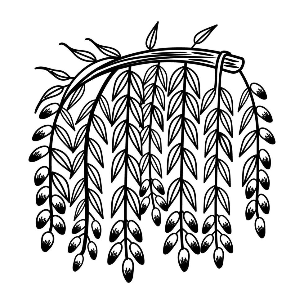 A black and white drawing of a branch with leaves vector