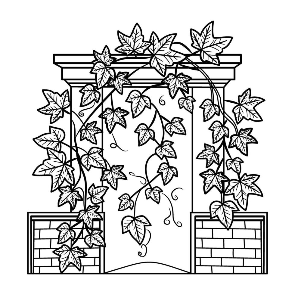 The ivy arch is a black and white drawing vector