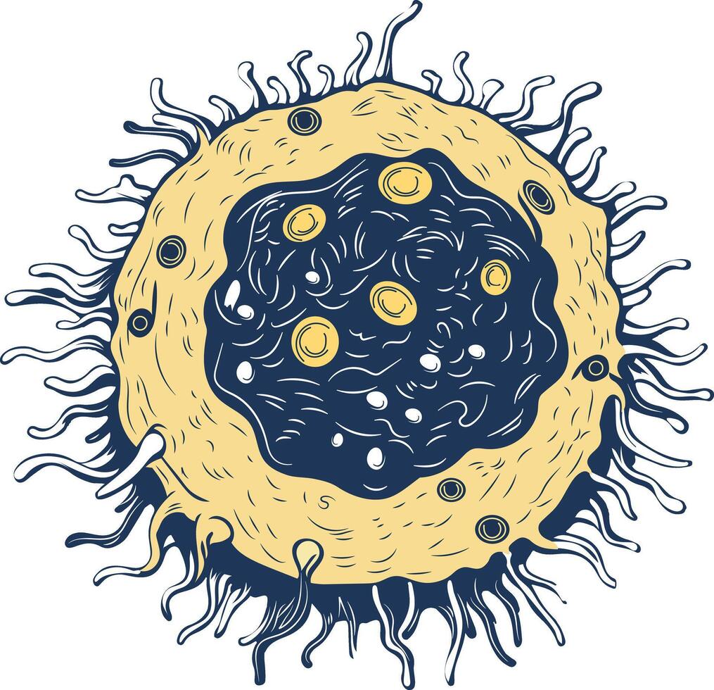A vintage style illustration of a blood cell vector
