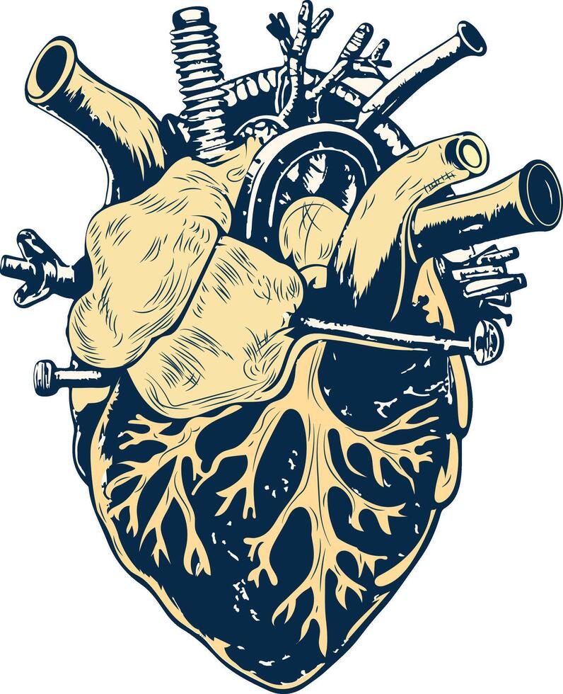 A vintage illustration of heart surgery vector
