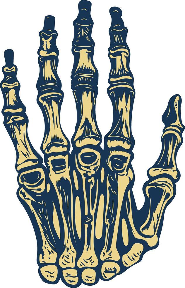 A vintage illustration of hand bones vector