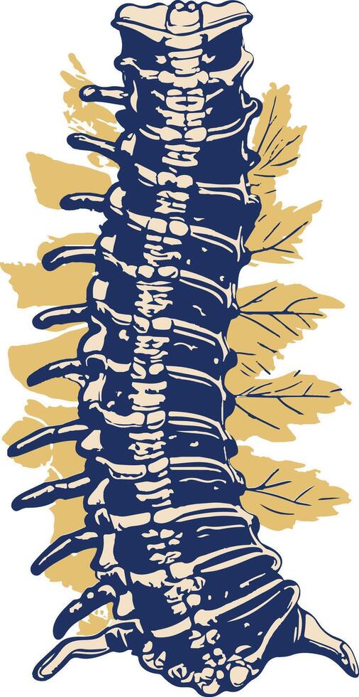 Spinal column illustration in vintage style vector