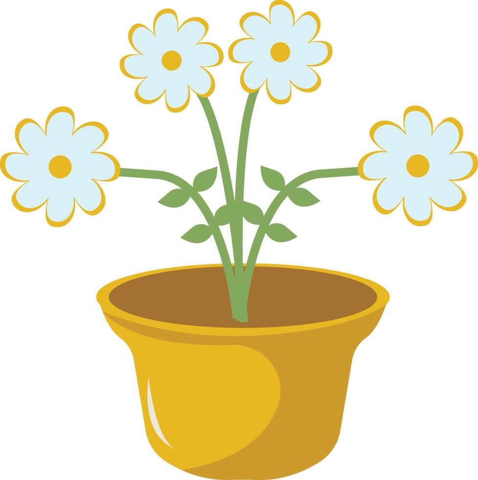 White Nowruz Spring Flowers in Pot vector