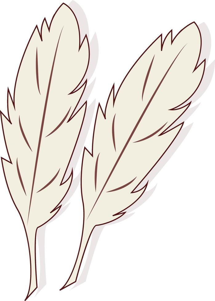Two Chicken Feather for Easter Decoration vector