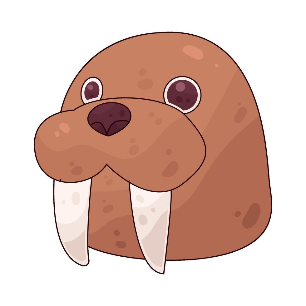 Illustration of walrus vector