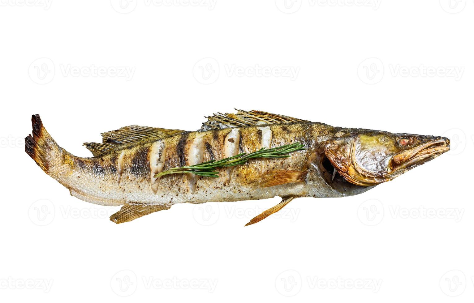 Grilled Zander, walleye fish with herbs and lemon on a plate. Isolated on white background. photo