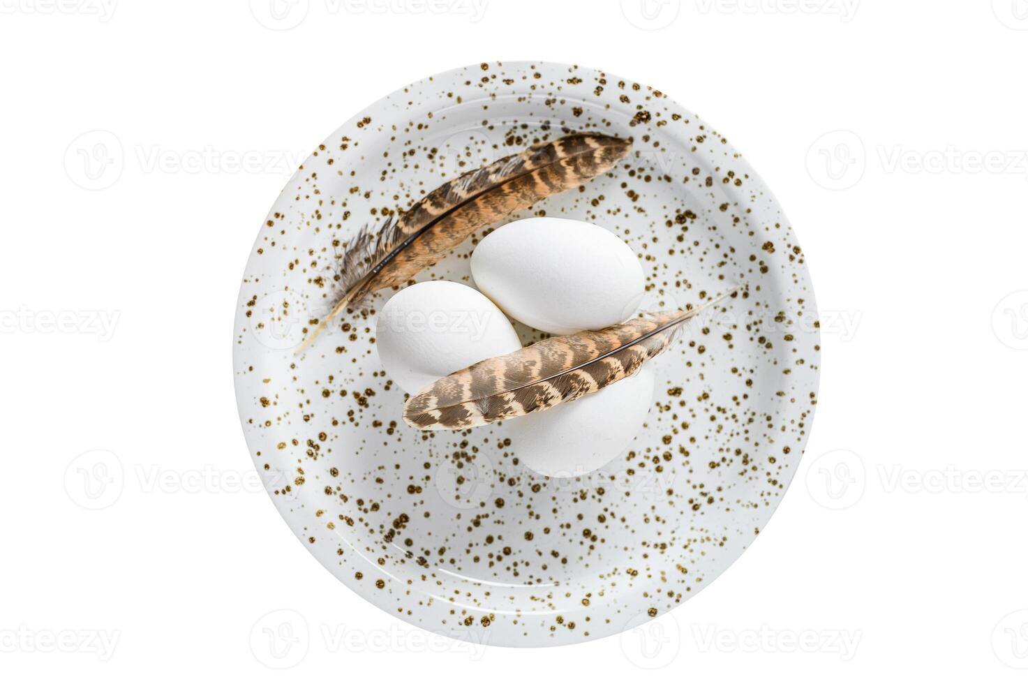 White background with white eggs and feathers. Isolated on white background. photo