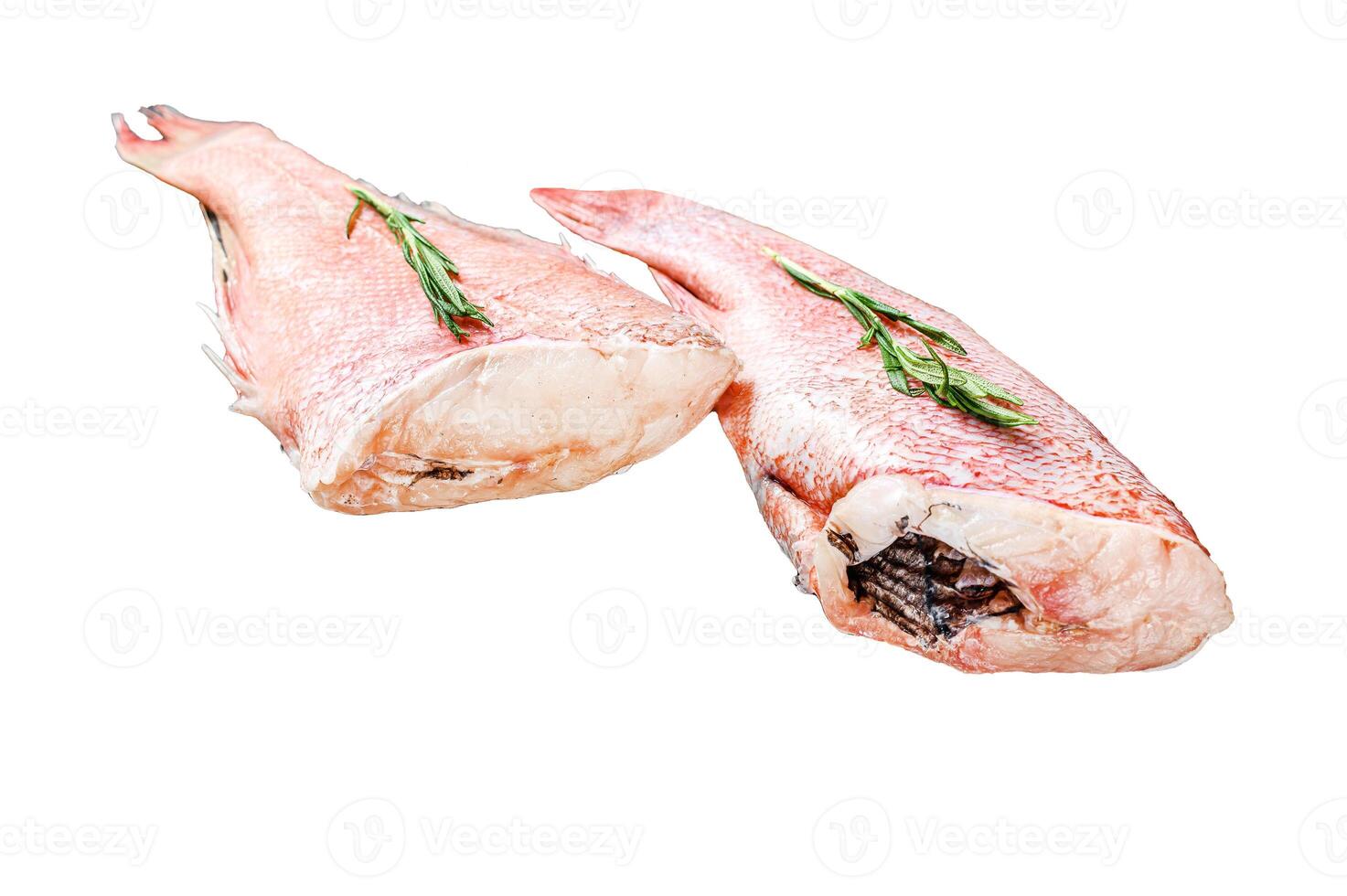 Whole raw fresh red perch or seabass fish. Isolated on white background. Top view. photo