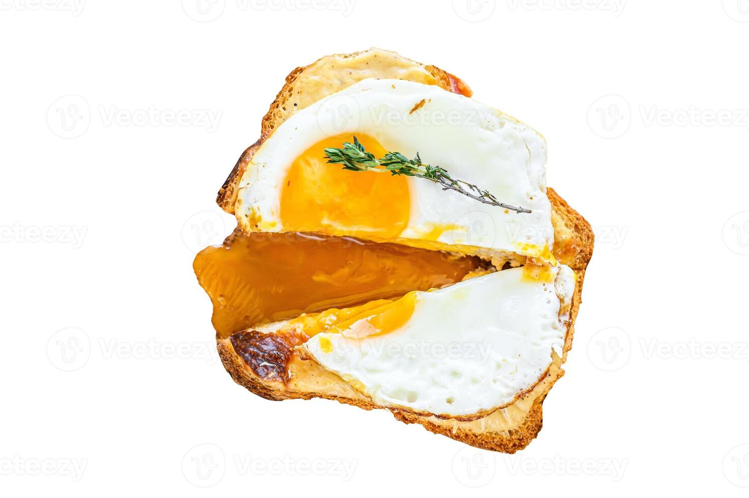 Cut sandwich Croque Madame. French cuisine. Isolated on white background. photo
