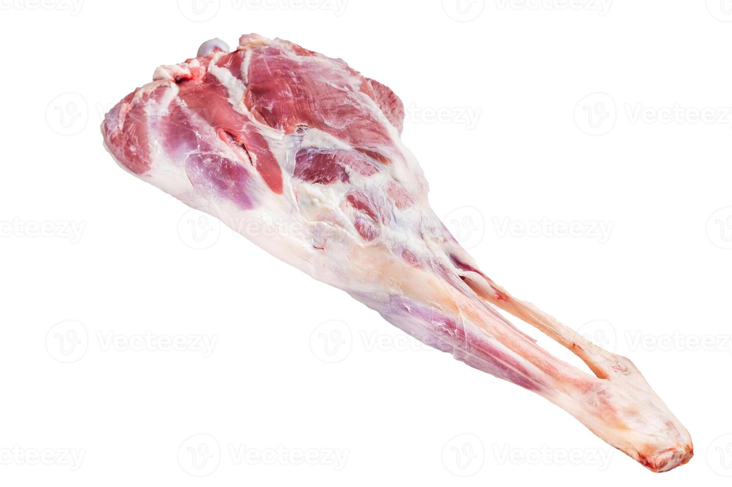 Raw whole lamb leg, fresh mutton meat isolated on white background. top view photo