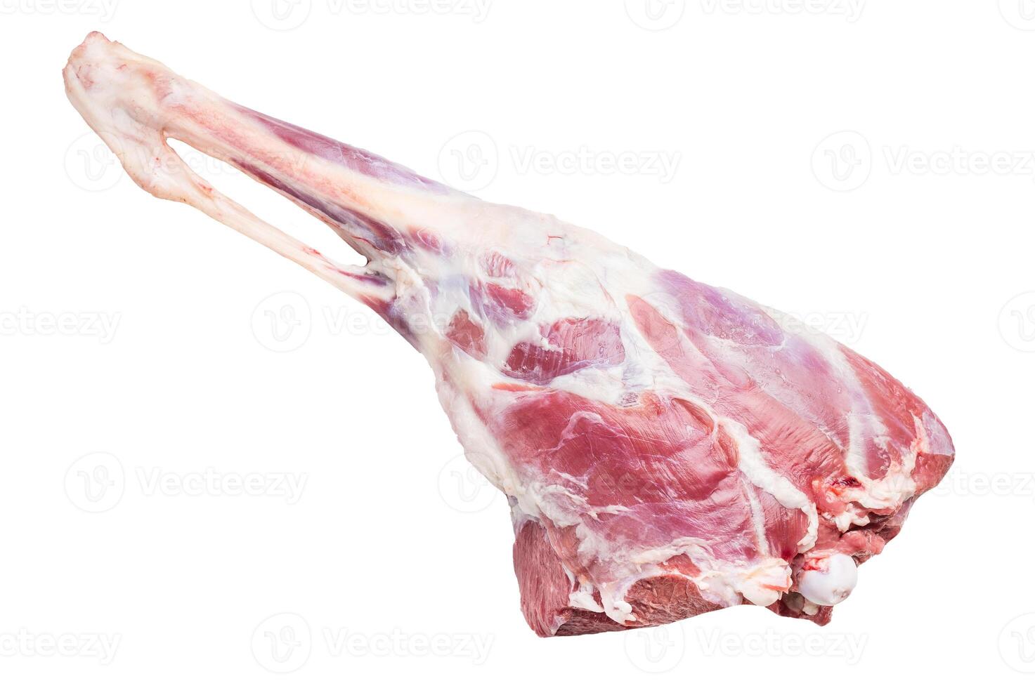 Raw whole lamb leg, fresh mutton meat isolated on white background. top view photo