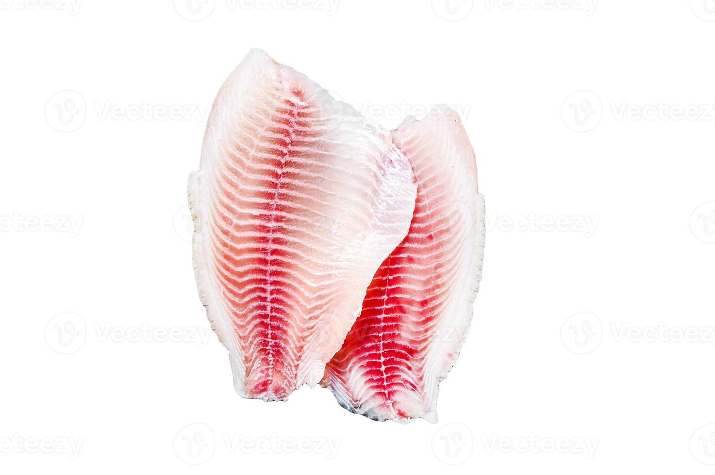 Raw fillet of telapia Isolated on white background. Top view.background. Top view. Copy space photo