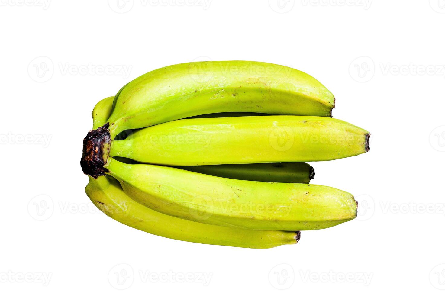 Banana called guineo or bocadillo Musa acuminata. Isolated on white background. photo