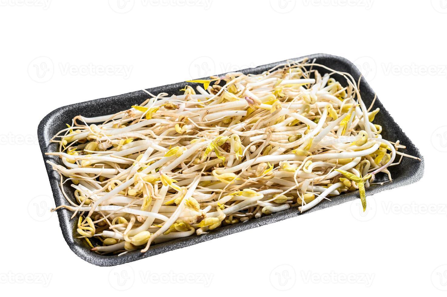 Bean sprout in black plastic container. Isolated on white background. photo