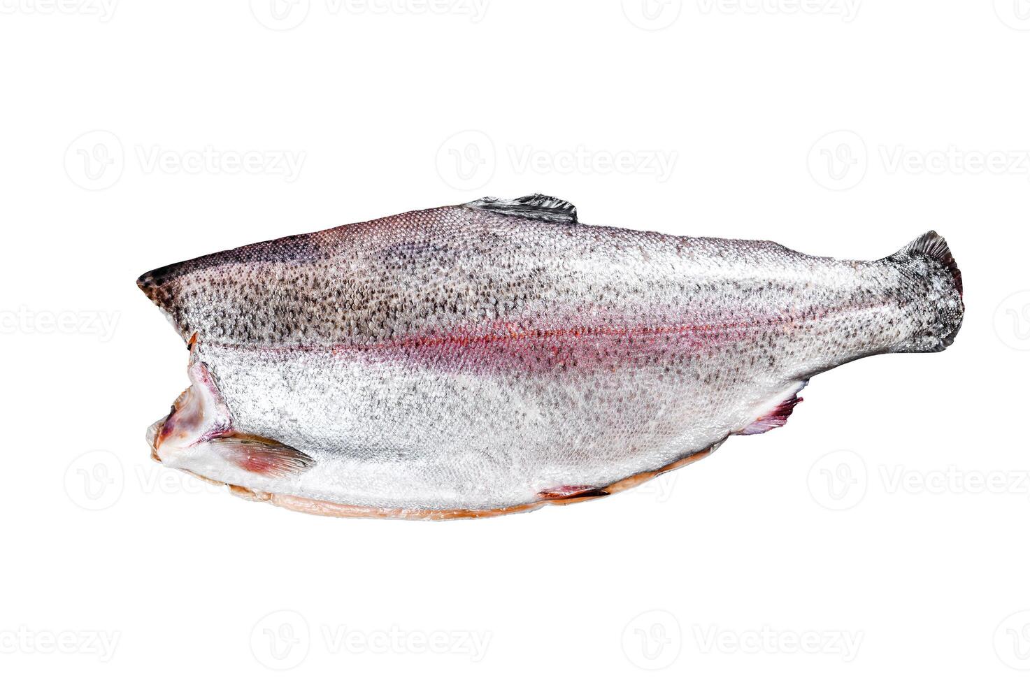 Fresh whole trout fishes. Isolated on white background. photo