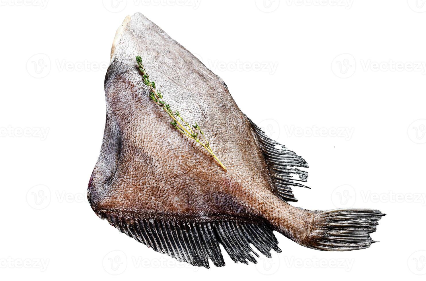 Raw fresh whole John Dory fish with spices and herbs for cooking. Isolated on white background. Top view. photo