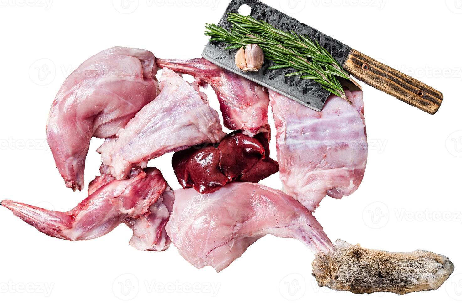 Raw wild hare slices legs, fresh game meat in steel tray with herb. Isolated on white background. photo