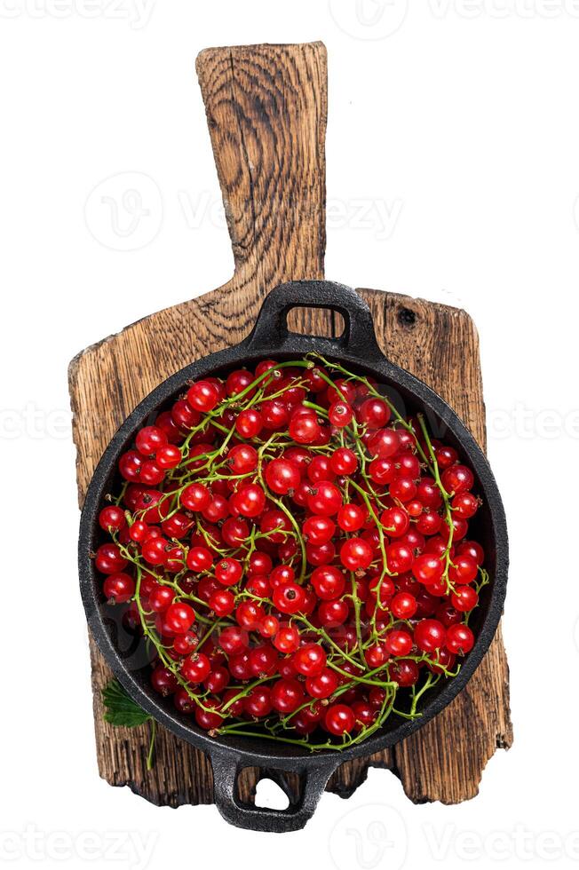 Red currant berries in a pan. Isolated on white background, top view. photo