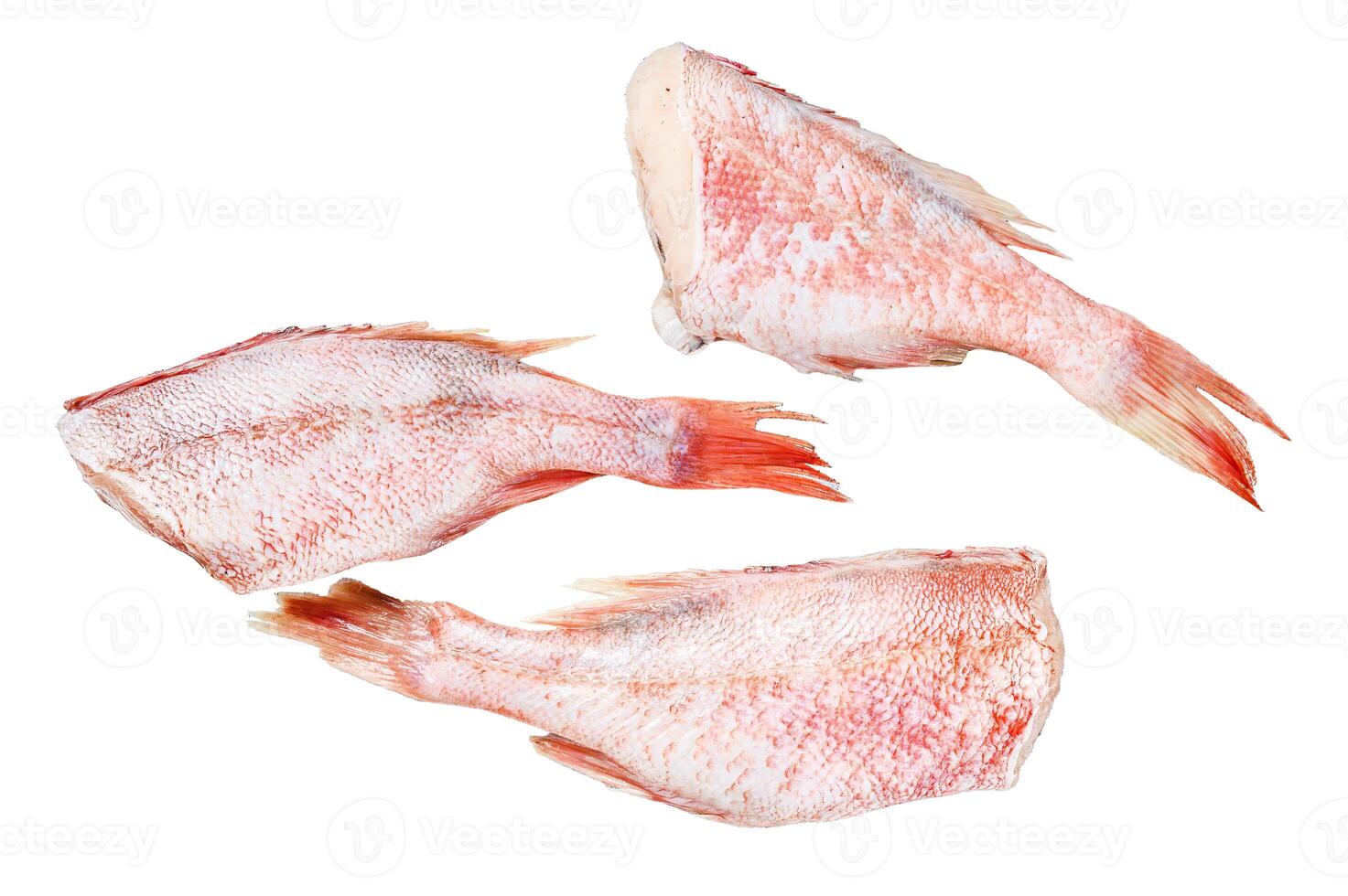 Raw Red perch or seabass fish. Isolated on white background. Top view. photo