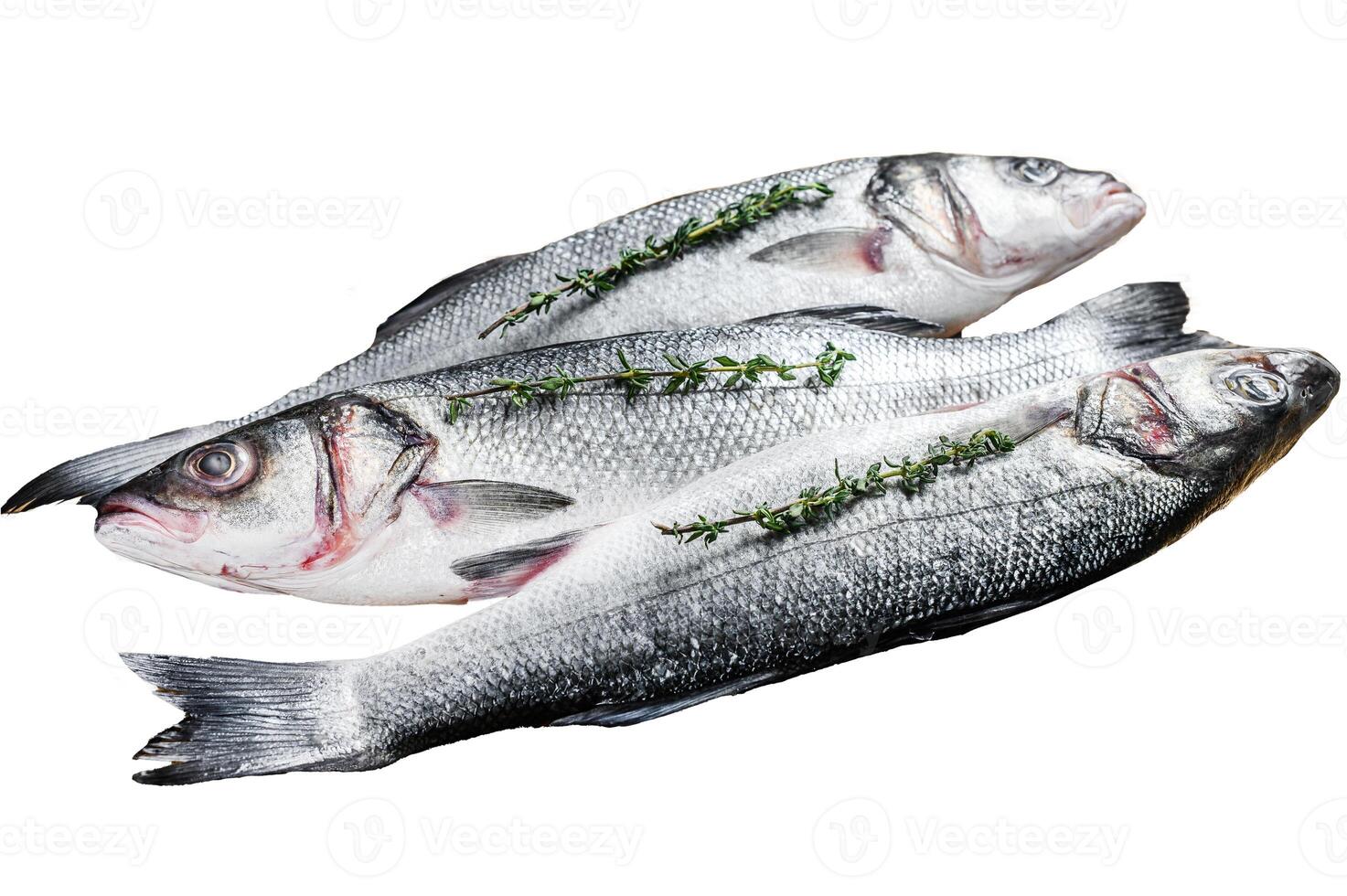 Raw seabass fish on a tray. Isolated on white background. Top view. photo