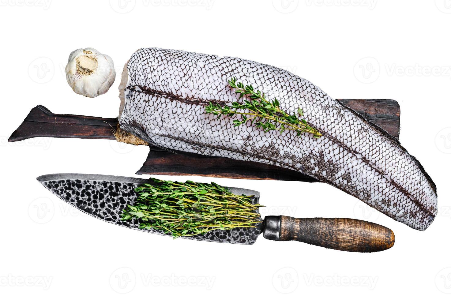 Raw grenadier macrurus white fish on a wooden cutting board. Isolated on white background, Top view. photo