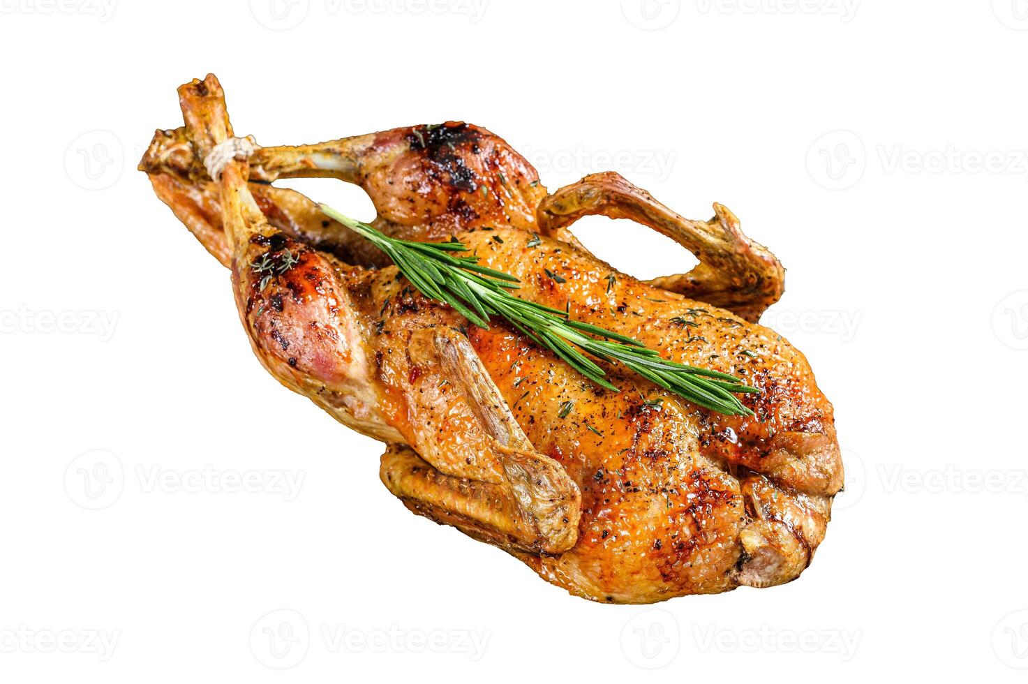 Roast duck stuffed with baked apples, festive christmas recipe. Isolated on white background. photo