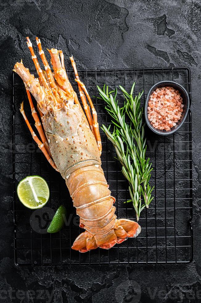 Boiled Spiny lobster or sea crayfish ready for eat. Black background. Top view photo