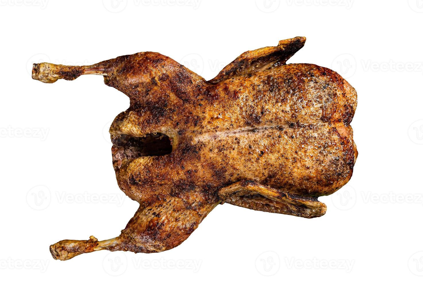 Roast whole duck, festive christmas recipe. Isolated on white background. photo